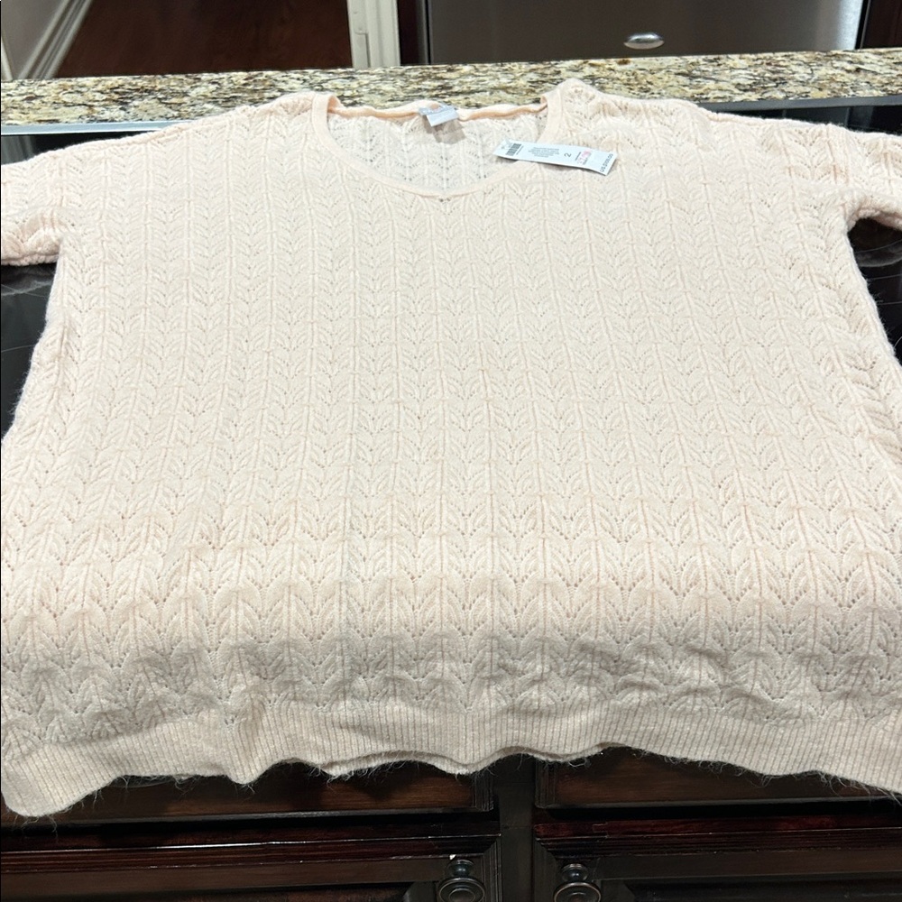Chico's Light Tan V-Neck Sweater - Picture 4 of 4